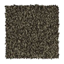 Urban Allure Lasting Luxury  Imperial Brown LL_2V30-865