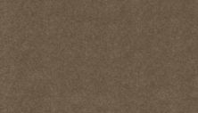 Coastal Luxury III Lasting Luxury  Driftwood LL_3F30-779