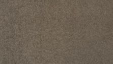 Coastal Luxury III Lasting Luxury  Porpoise LL_3F30-942