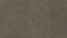 Coastal Luxury III Lasting Luxury  Dolphin LL_3F30-964