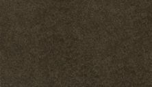 Coastal Luxury III Lasting Luxury  Eternity LL_3F30-972