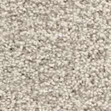 Carpetsplus Colortile Pet Friendly Destination Sookie Stardust P3G98-C06