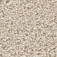 Carpetsplus Colortile Pet Friendly Destination Sookie Linen P3G98-C05