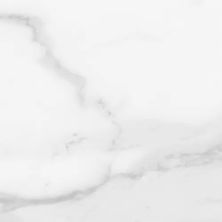 Anatolia Plata Statuario Brina 4500-0969-0