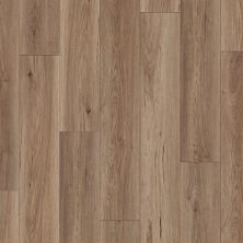 International Flooring Company Canyon Americas Pleasant Oak COR0009