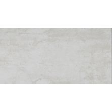 Stoneway Style Access  White Beige 12×24 PO3060STO312R