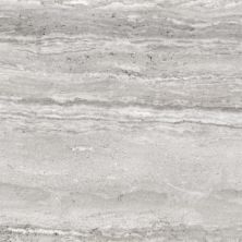 Anatolia Precept Ice 4500-0549-0