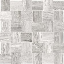 Anatolia Precept Ice 4501-0201-0