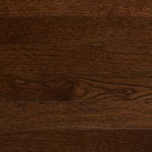 Somerset Color Strip Solid Metro Brown PS31416