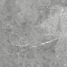 Anatolia Regency Carbon 4500-0806-0