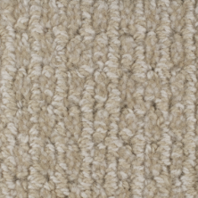 Masland Carpets & Rugs Chesapeake Windage 9229-520