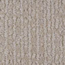 Masland Carpets & Rugs Chesapeake Beacon 9229-820