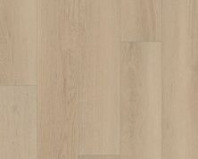 Carpets Of Dalton Canyon Select Warner Oak CODCS-SOAK