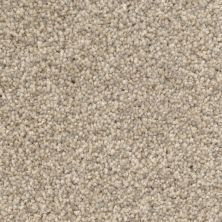 Nrfselect Sp3541 Salted Caramel SP3541JSAC