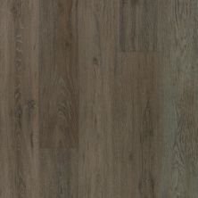 Carpetsplus Colortile Luxury Flooring Destination 1.0 Spruce Knob Burnt Siena SKS42-827