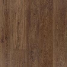 Carpetsplus Colortile Luxury Flooring Destination 1.0 Spruce Knob Pecan SKS42-841