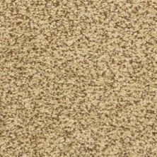Masland Carpets & Rugs Colorworks Stone Works 6865-70321