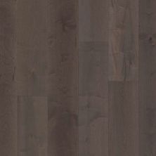 Shaw Floors Reflections Maple Serenity SW66009019