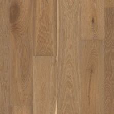 Shaw Floors Expressions Artistry SW70707063