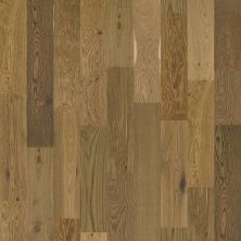 Shaw Floors Expressions Prose SW70707067