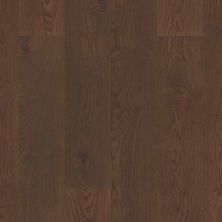 Shaw Floors Expressions Muse SW70707078