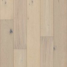 Shaw Floors Expressions 9.5″ Allegory SW75401135