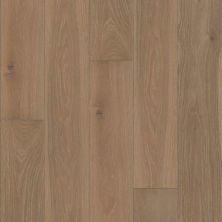 Shaw Floors Expressions 9.5″ Mural SW75405100