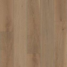 Shaw Floors Expressions 9.5″ Kinetic SW75407107