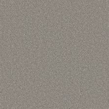 Tarkett Home Inspire Enchant TH901_859