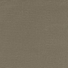 Tarkett Home Collective Connoisseur TH933_857