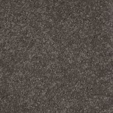 Peerless Nyluxe Petguard Bichon Dark Mineral Grey A4681_84221