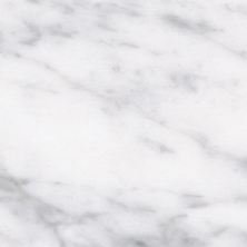 Surface Art Timeless Stone Modern Marble Carrara Marble TSAVRTSCARMMOS