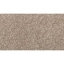 Godfrey Hirst Carpets Tranquil Journey TEXTURED Sienna BRIS-0779-G2209