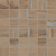 United Tile Alter Noce AlterNoce10mmGlossyMosaicWood/CementFushionRectified