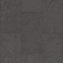 Shaw Industries Paragon Tile Plus Charcoal 00943_1022V