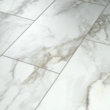 Shaw Industries Paragon Tile Plus Calacatta