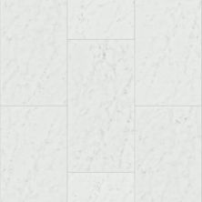 Shaw Industries Paragon Tile Plus Bianco 01217_1022V