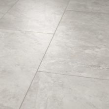Shaw Industries Paragon Tile Plus Pearl 05064_1022V