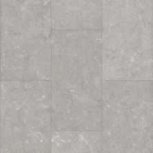 Shaw Industries Paragon Tile Plus Pewter 05260_1022V