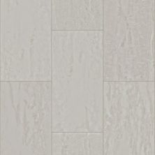Shaw Industries Paragon Tile Plus Mist 05261_1022V