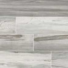 MSI Tile Carolina Timber Wood White NCARTIMWHI6X24-N