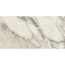 Carrara Marble Systems Arabescato WIS11960