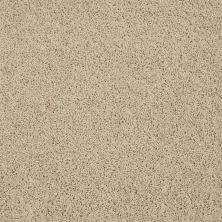 Beverly Grove Lasting Luxury  SEMOLINA LL_00212_Z6777