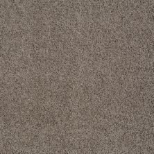 Beverly Grove Lasting Luxury  SIMPLY TAUPE LL_00572_Z6777