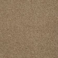 Beverly Grove Lasting Luxury  FINE UMBER LL_00726_Z6777