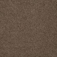 Beverly Grove Lasting Luxury  VICUNA LL_00736_Z6777