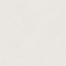 Shady Canyon Lasting Luxury  CASUAL WHITE LL_00110_Z6786