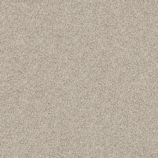 Shady Canyon Lasting Luxury  TRAVERTINE LL_00163_Z6786