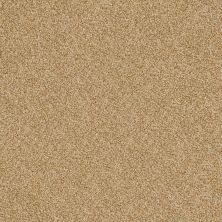 Shady Canyon Lasting Luxury  GOLD DUST LL_00225_Z6786