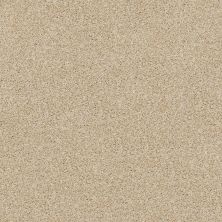 Shady Canyon Lasting Luxury  CORNSILK LL_00232_Z6786